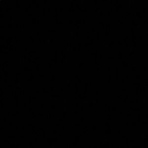 Meet your Posher, Anahi